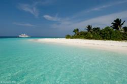 Maldives Liveaboard - Conte Max.